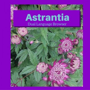 Astrantia - the new Dual Language Browser