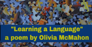 Learning a Language